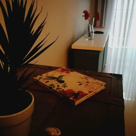 Lägenhet Algarve's Nest Monte Gordo